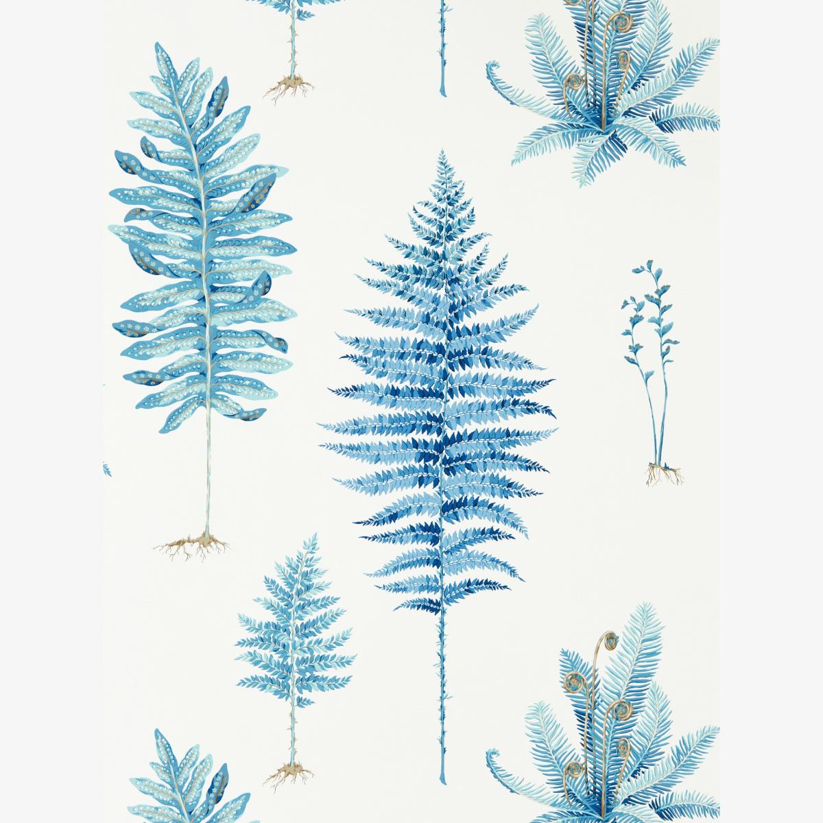 Fernery Wallpaper 216635 by Sanderson in China Blue Roll