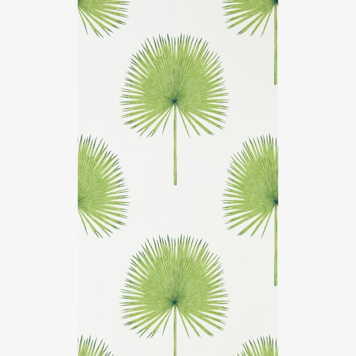 Fan Palm Wallpaper 216636 by Sanderson in Botanical Green Roll