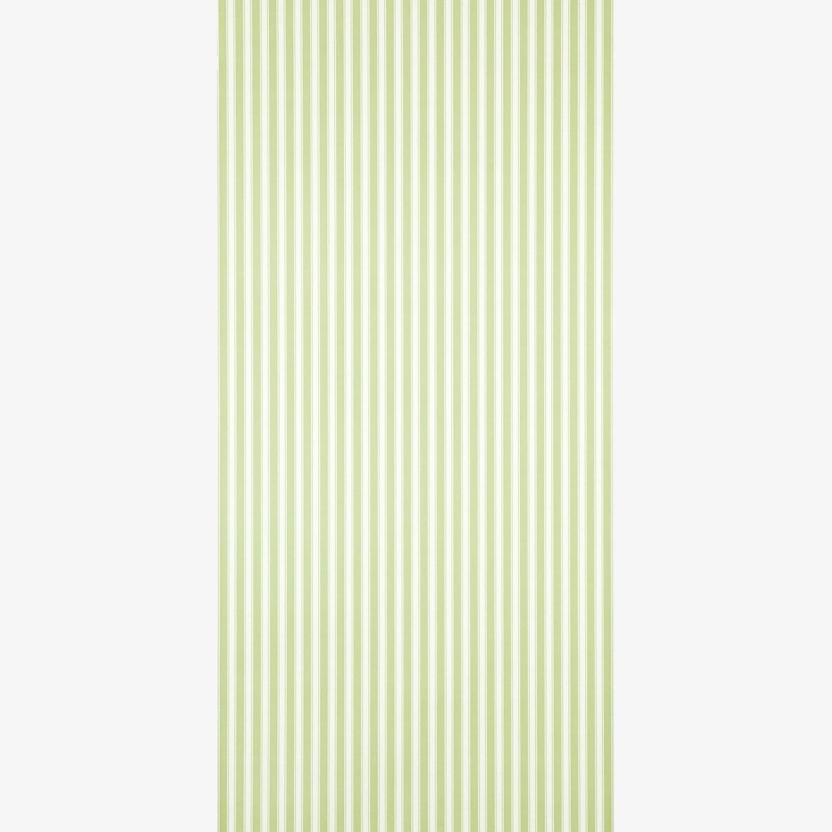 New Tiger Stripe Wallpaper 103 by Sanderson in Leaf Green Ivory Roll