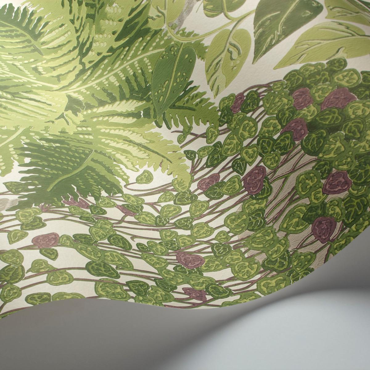 Fern Wallpaper 7021 by Cole & Son in Leaf Green Olive Roll – image 2