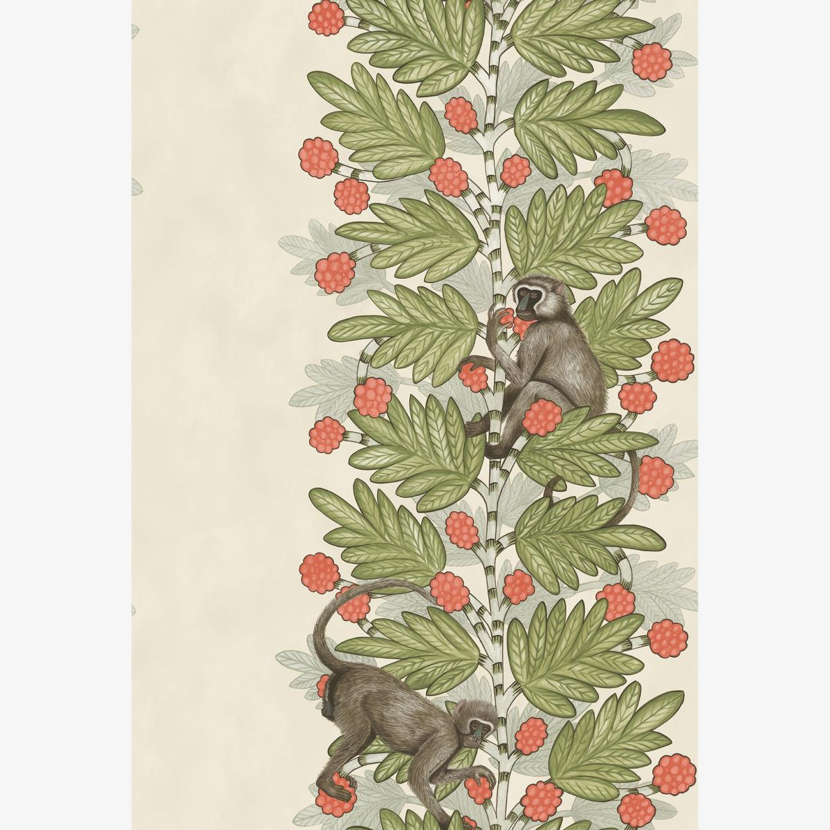 Acacia Wallpaper 11051 by Cole & Son in Olive GreenRoll