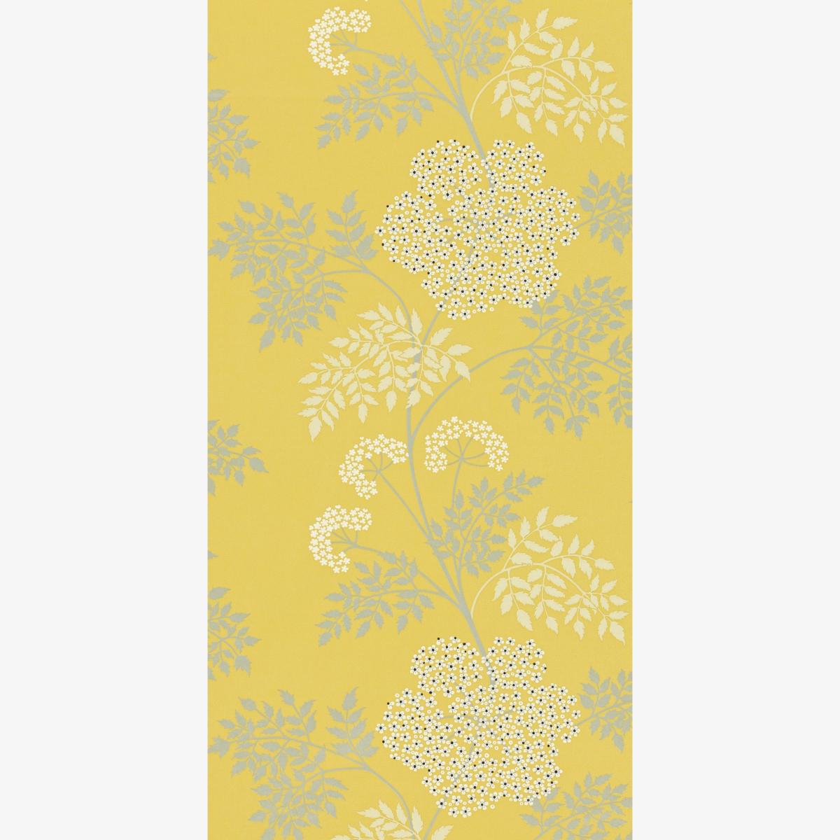 Cowparsley Floral Wallpaper 105 by Sanderson in Chinese Yellow Roll