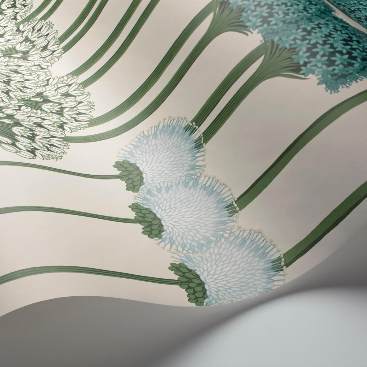Allium Wallpaper 12035 by Cole & Son in Teal & Jade on White&nbsp;Roll – image 2
