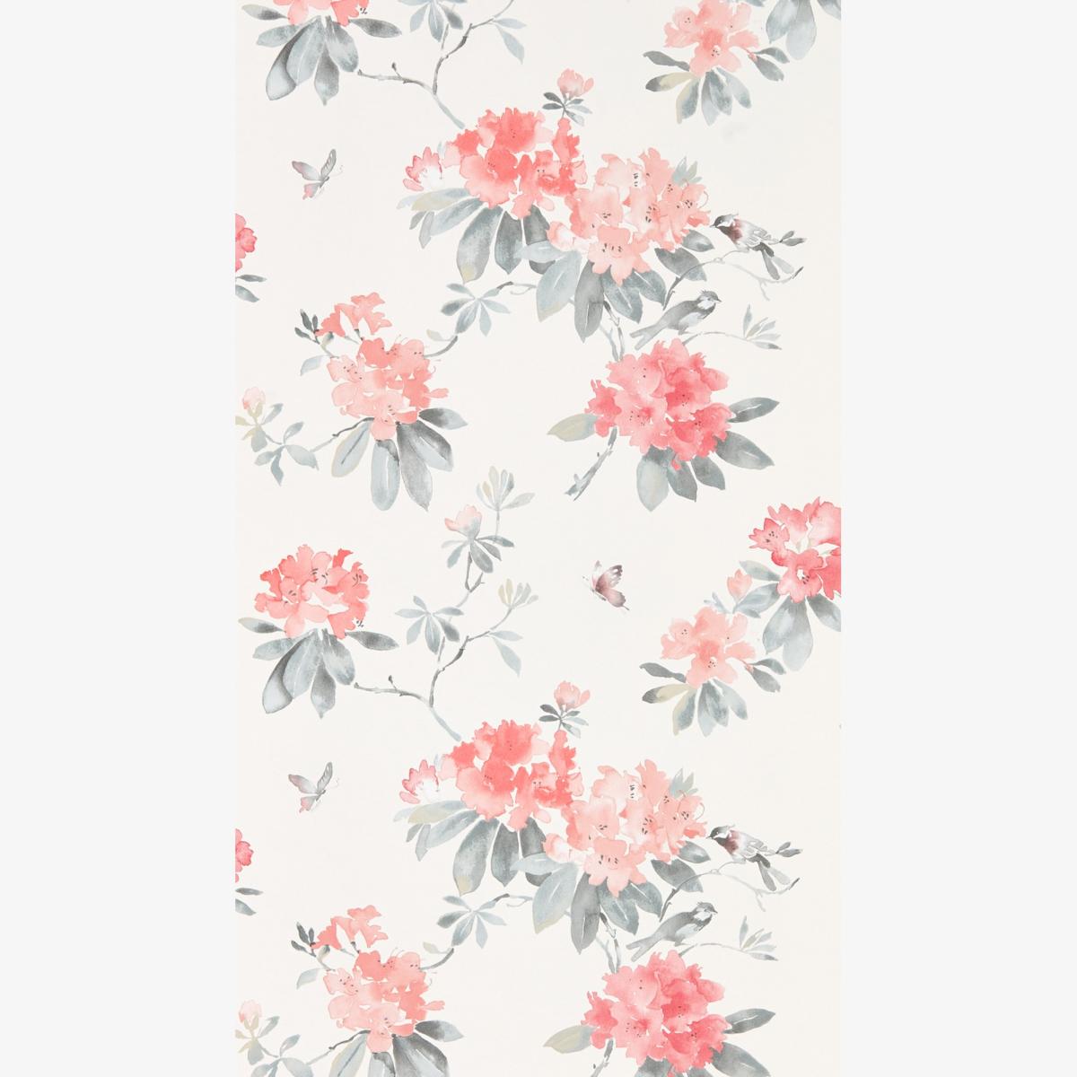 Rhodera Wallpaper 216264 by Sanderson in Coral Grey Roll