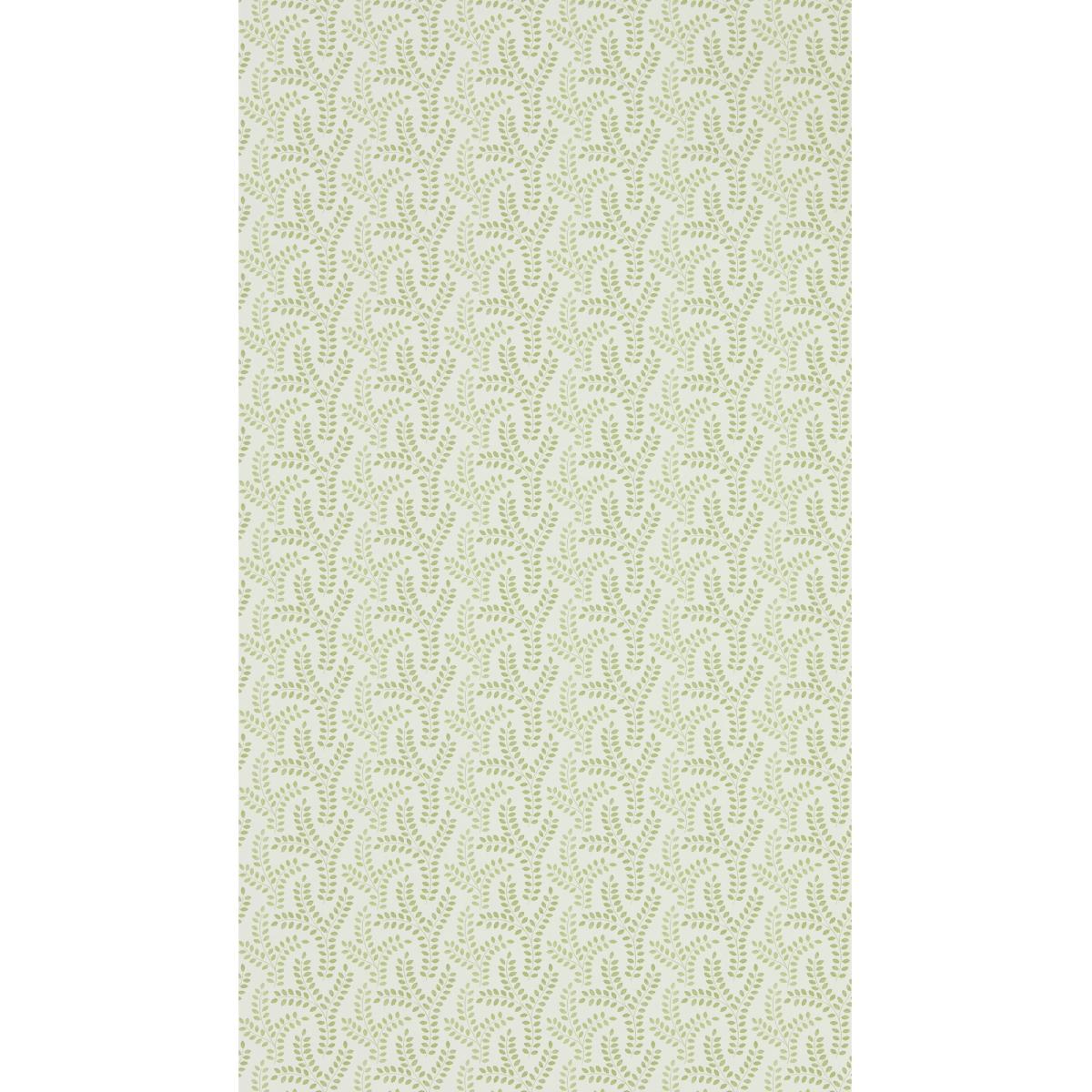 Yarton Wallpaper 216887 by Sanderson in Moss Green Roll – image 4