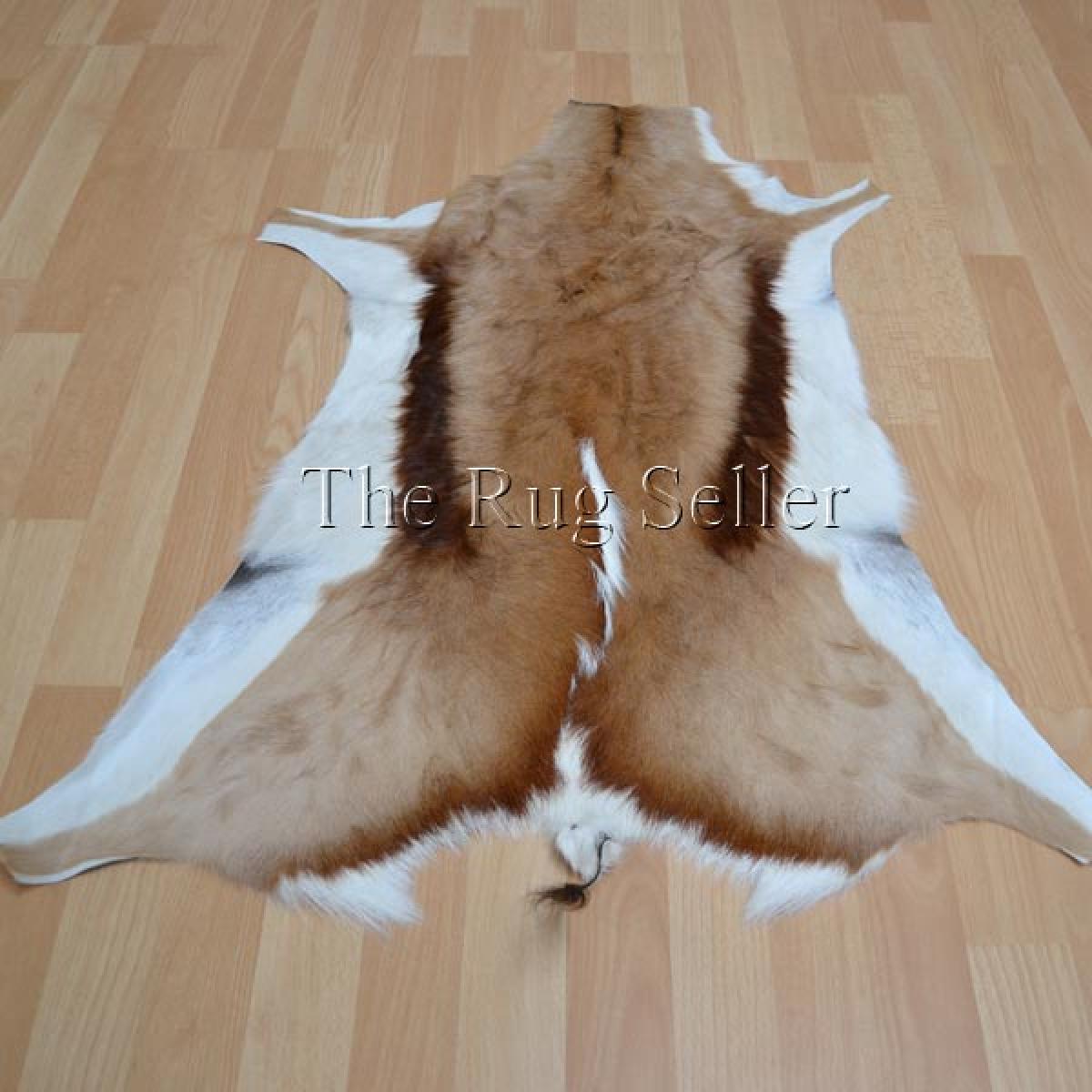 Springbok Hide Rugs – image 2