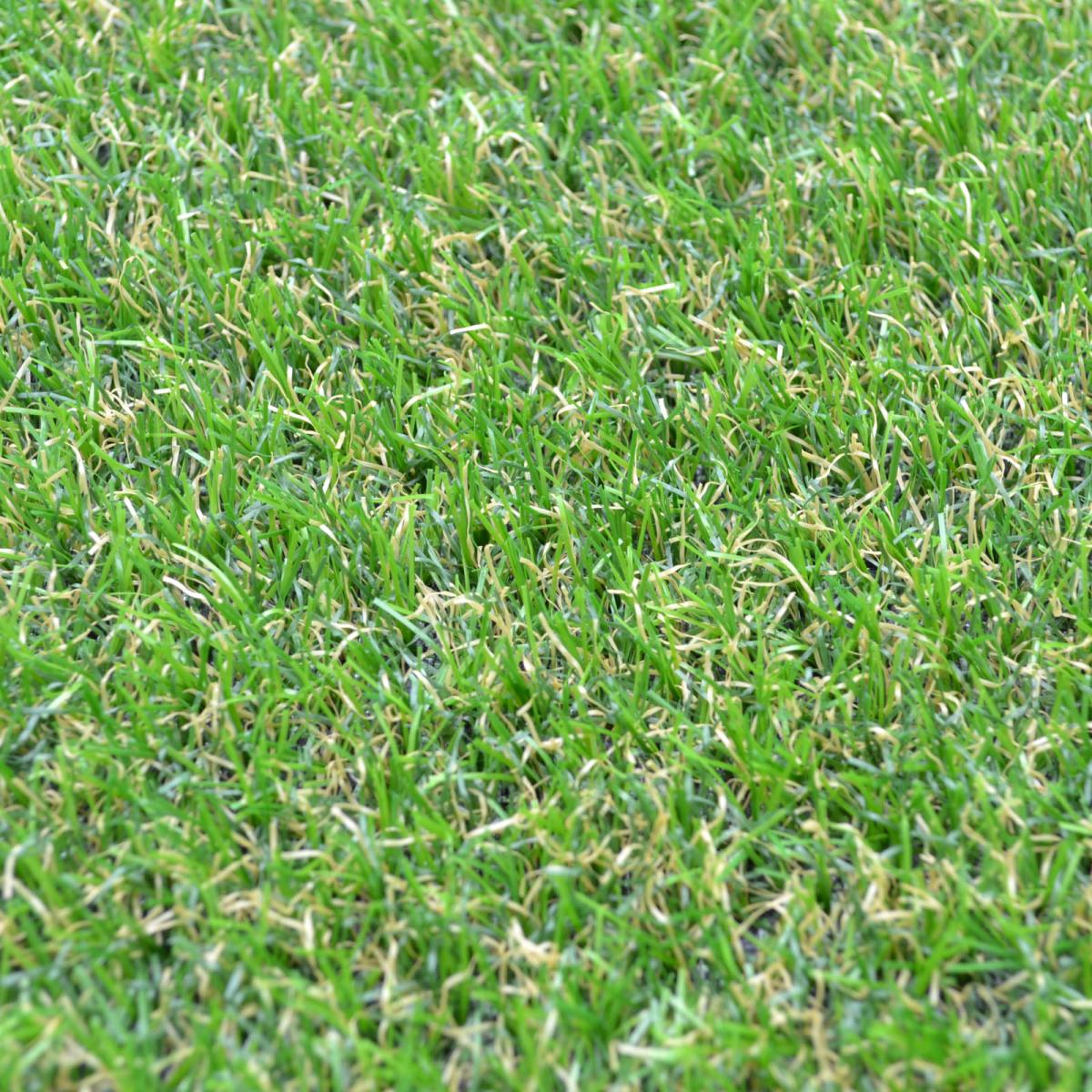 Camellia Artificial Grass by Easy Lawn 500x400cm – image 1