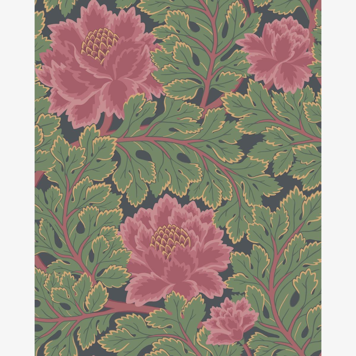 Aurora Floral Wallpaper 116 1002 by Cole & Son in Rose Pink and Forest GreenRoll
