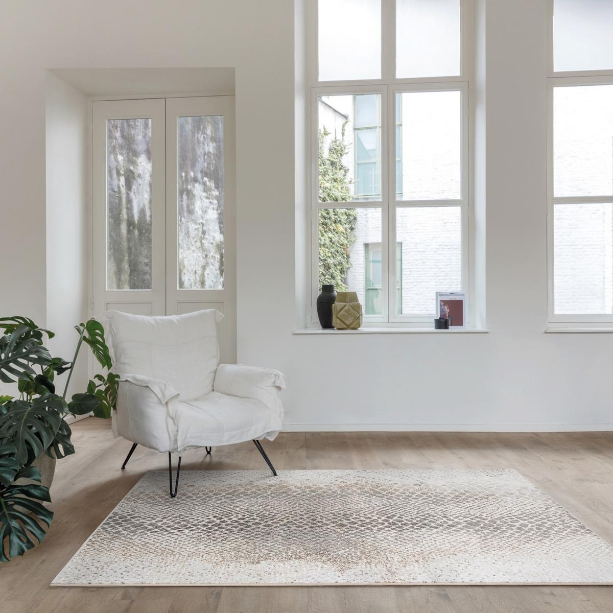 Simba Animal Print Modern Rugs 12263 910 in Beige135x200cm – image 1