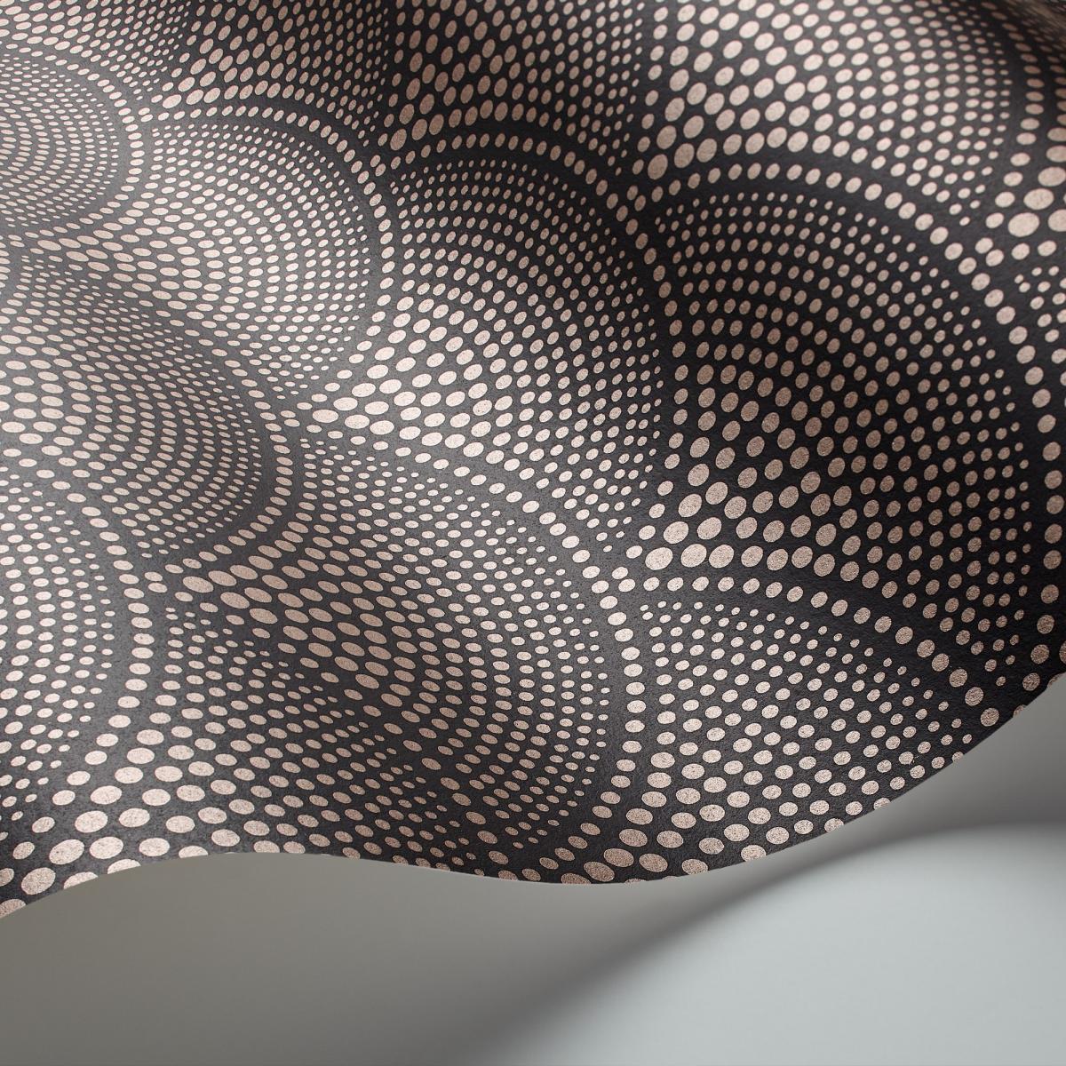 Feather Fan Wallpaper 10033 by Cole & Son in Charcoal Bronze Brown Roll – image 2