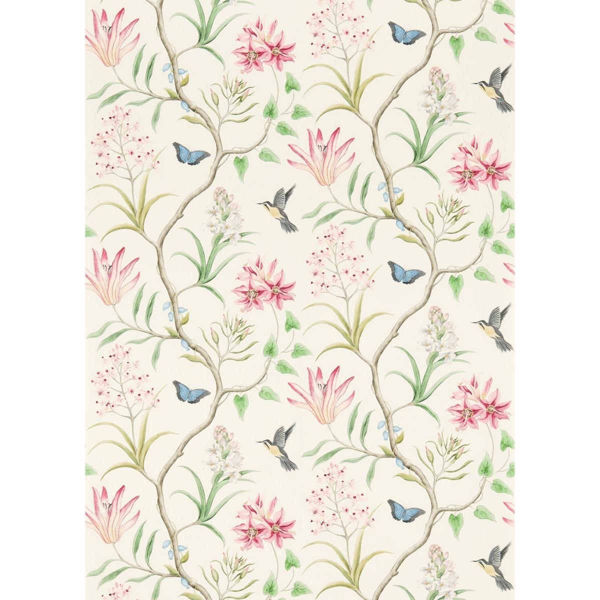 Clementine Wallpaper 213388 by Sanderson in Chintz Green&nbsp;Roll – image 5