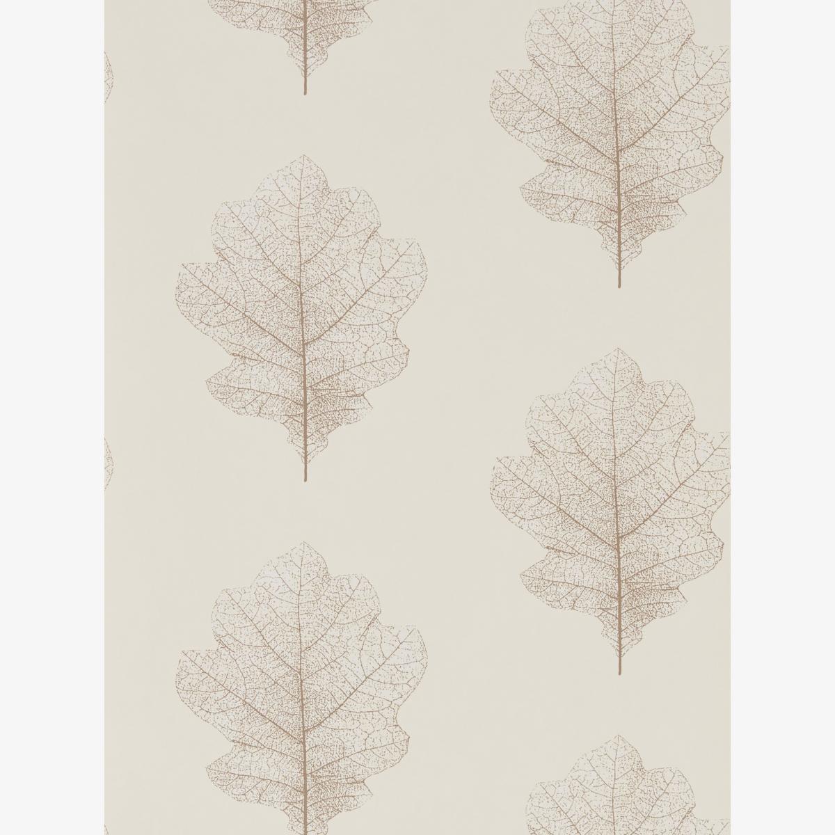 Oak Filigree Wallpaper 215699 by Sanderson in Milk Pearl Roll