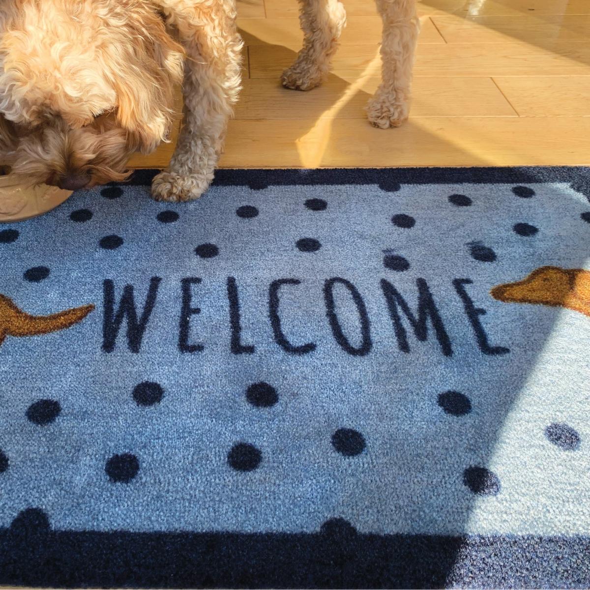 Howler & Scratch Doggie Welcome Pet Mats Blue 50x75cm – image 2