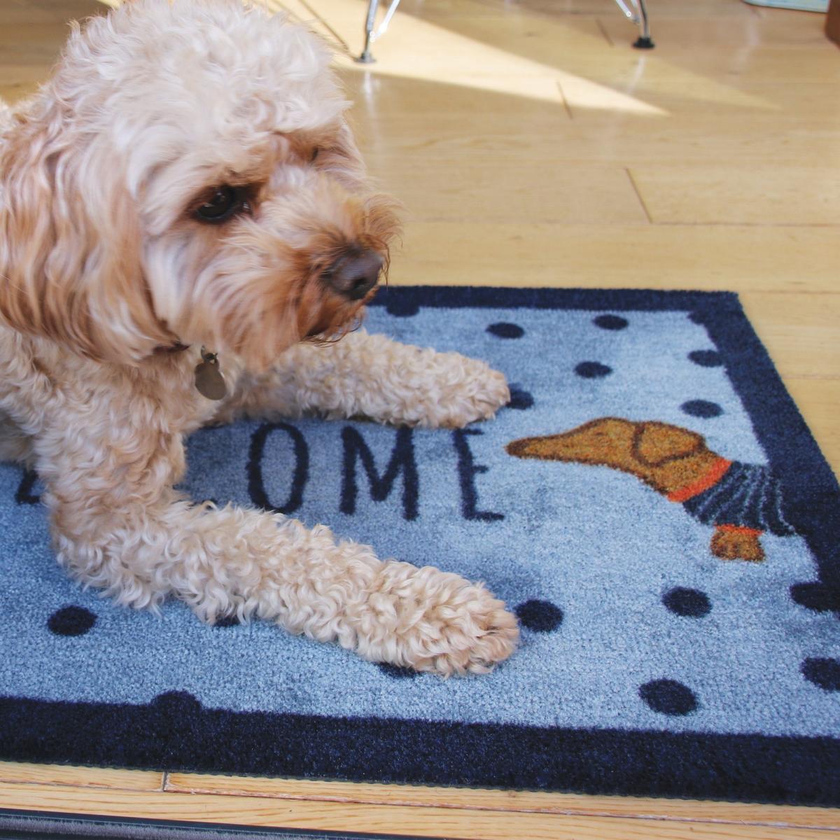 Howler & Scratch Doggie Welcome Pet Mats Blue 50x75cm – image 3