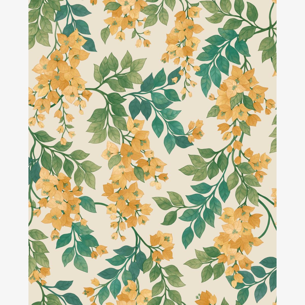 Bougainvillea Wallpaper 117 6018 by Cole & Son in Marigold YellowRoll