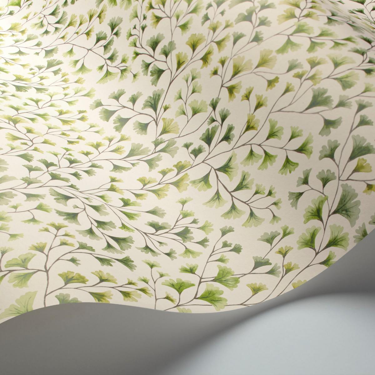 Maidenhair Wallpaper 6018 by Cole & Son in Olive Green Roll – image 2