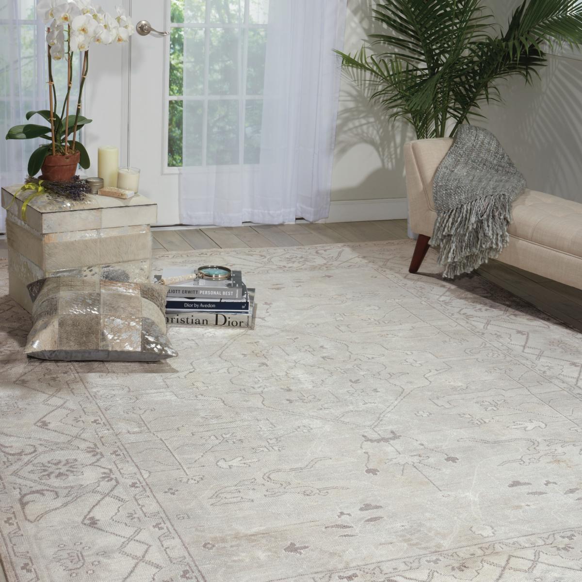 Aldora ALD01 Traditional Bordered Rugs in Silver Grey by Nourison 69x91cm – image 2