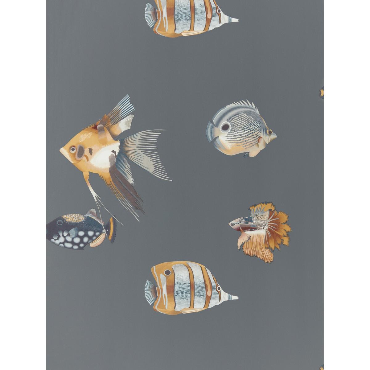 Kamanu Wallpaper 111648 by Harlequin in Amber Slate Grey Roll – image 2