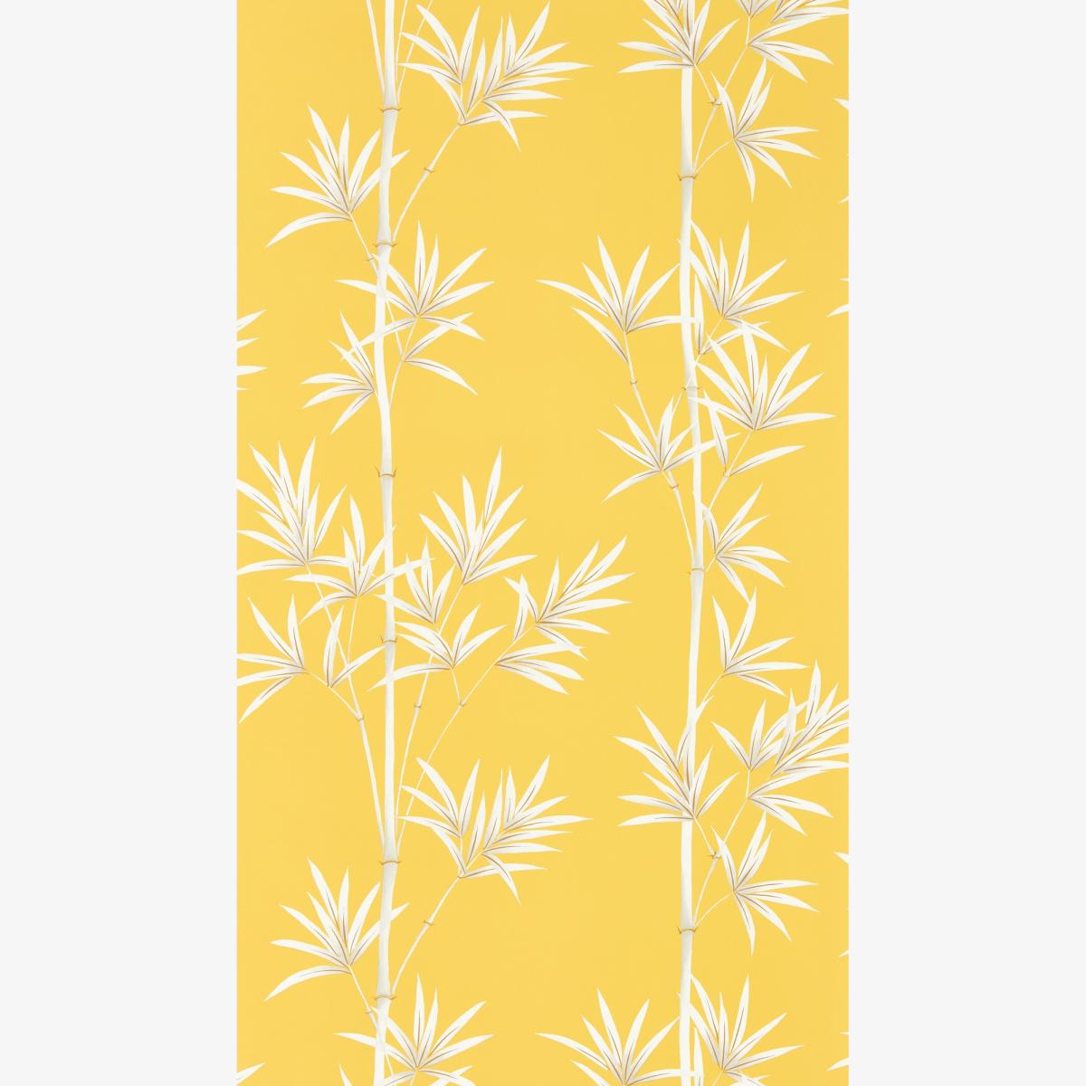 Isabella Wallpaper 112914 by Harlequin in Honey Porcelain Roll