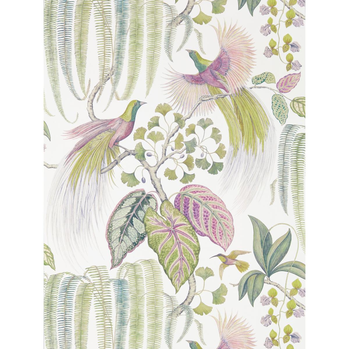 Bird Of Paradise Wallpaper 216654 by Sanderson in Orchid Purple Roll – image 3