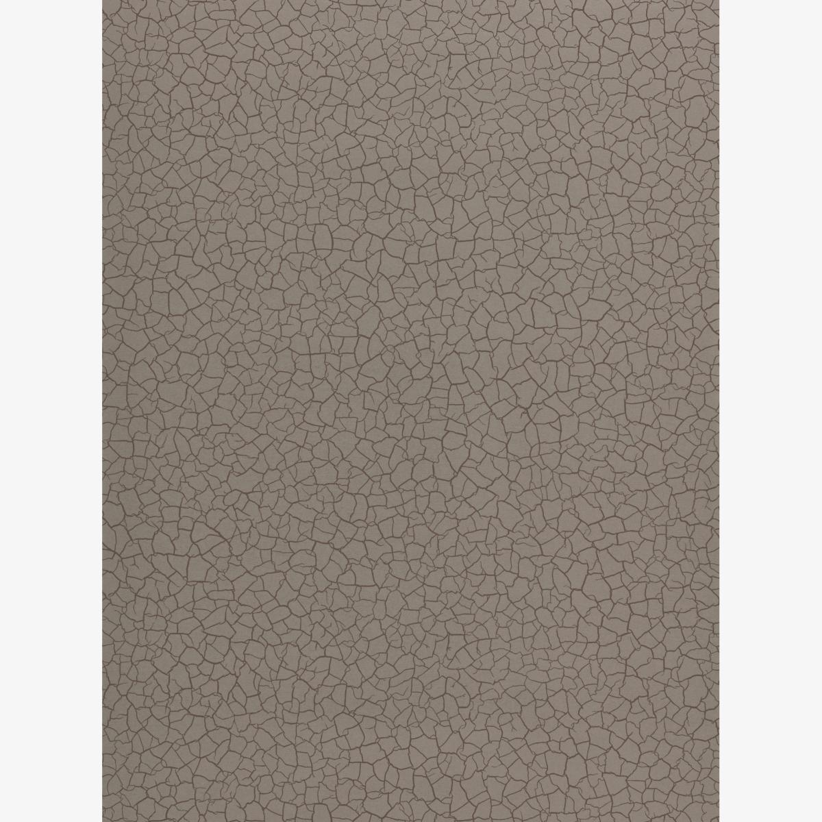 Cracked Earth Wallpaper 312527 by Zoffany in Gobi Beige Roll