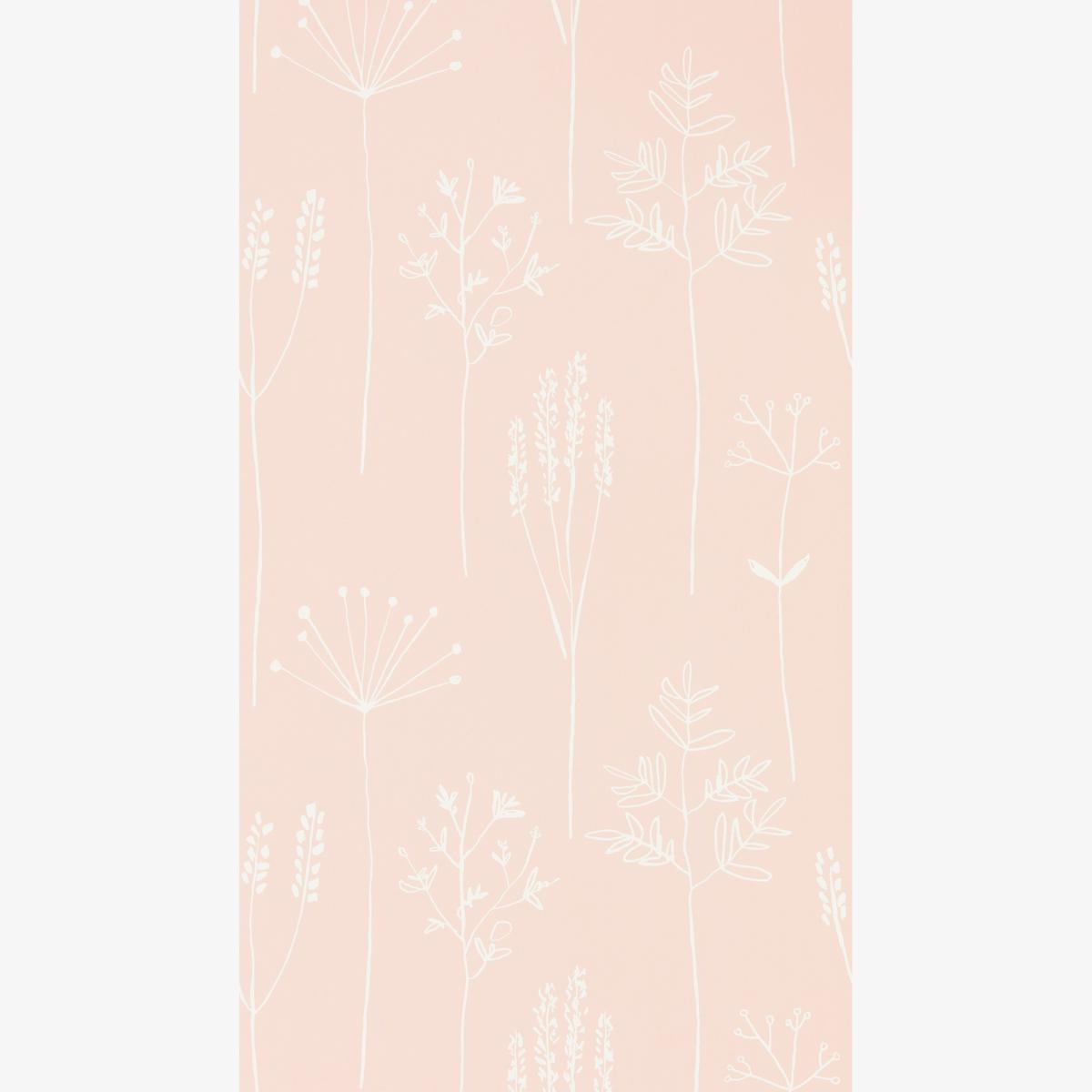 Stipa Leaf Wallpaper 112018 by Scion in Blush Pink Roll