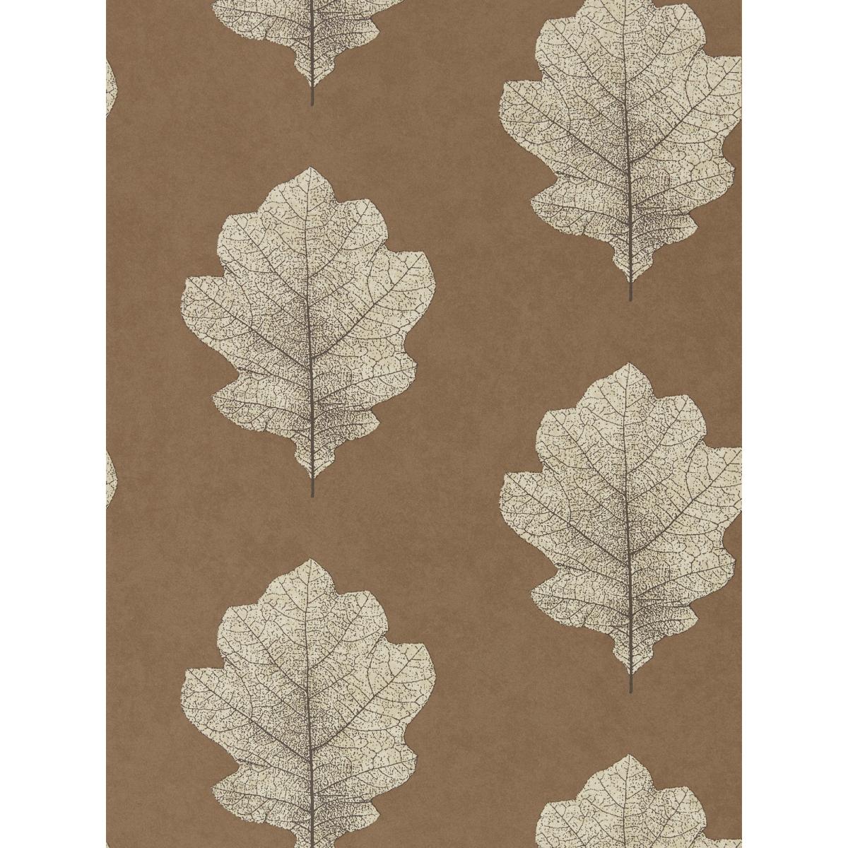Oak Filigree Wallpaper 215701 by Sanderson in Copper Graphite Roll – image 4
