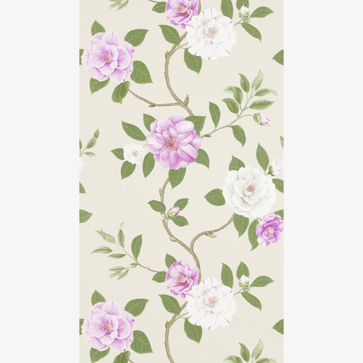 Christabel Wallpaper 213375 by Sanderson in Amethyst Ivory White Roll