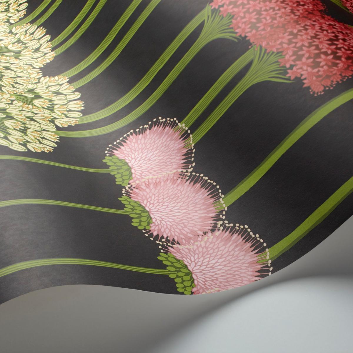 Allium Wallpaper 12037 by Cole & Son in Coral & Leaf Green on Charcoal Roll – image 2