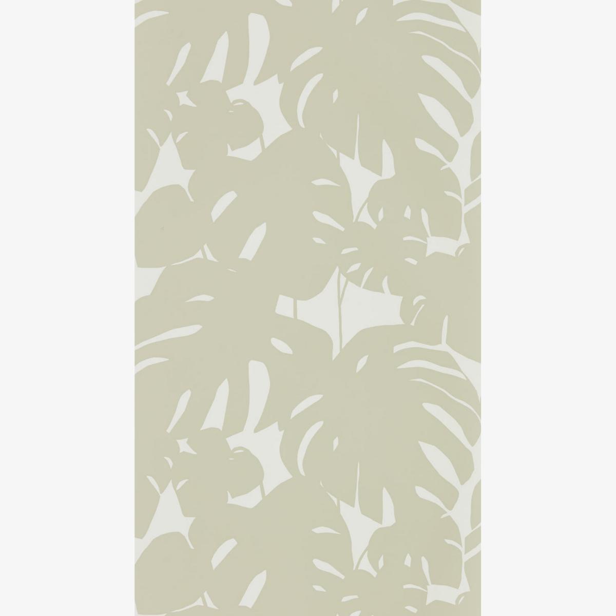 Arizona Botanical Wallpaper 111823 by Scion in Pebble Beige Roll