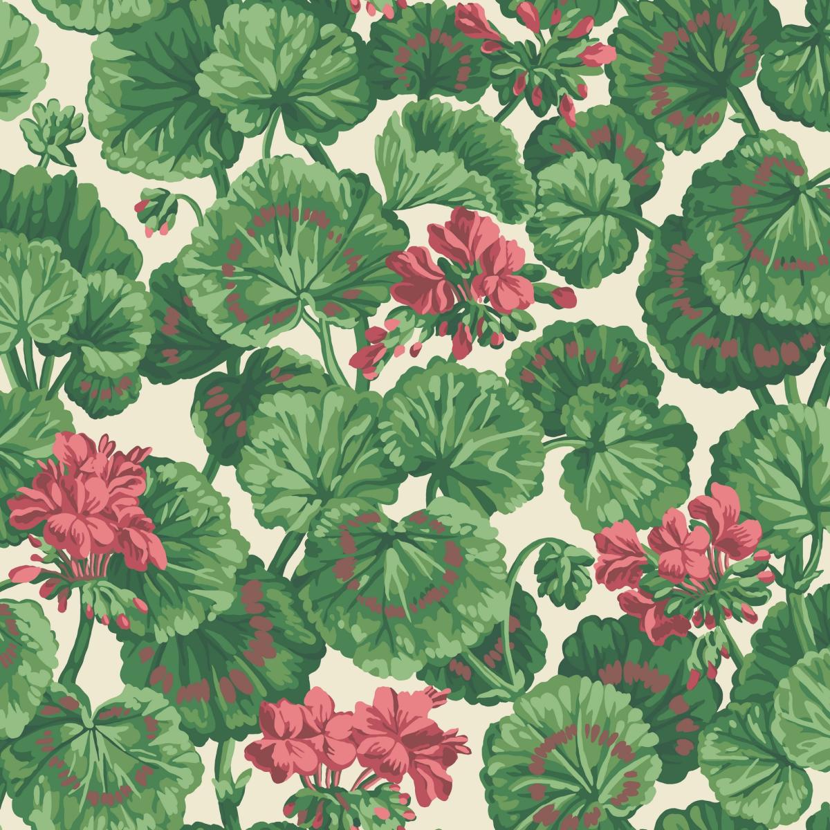 Geranium Wallpaper 11034 by Cole & Son in Parchment WhiteRoll