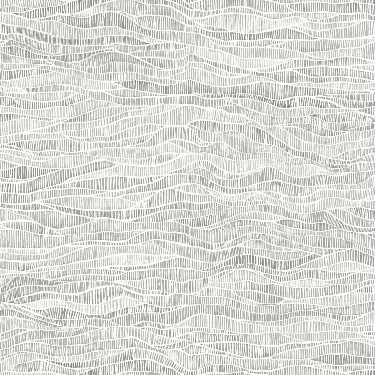 Meadow Wallpaper 13039 by Cole & Son in Soot Grey Roll – image 1