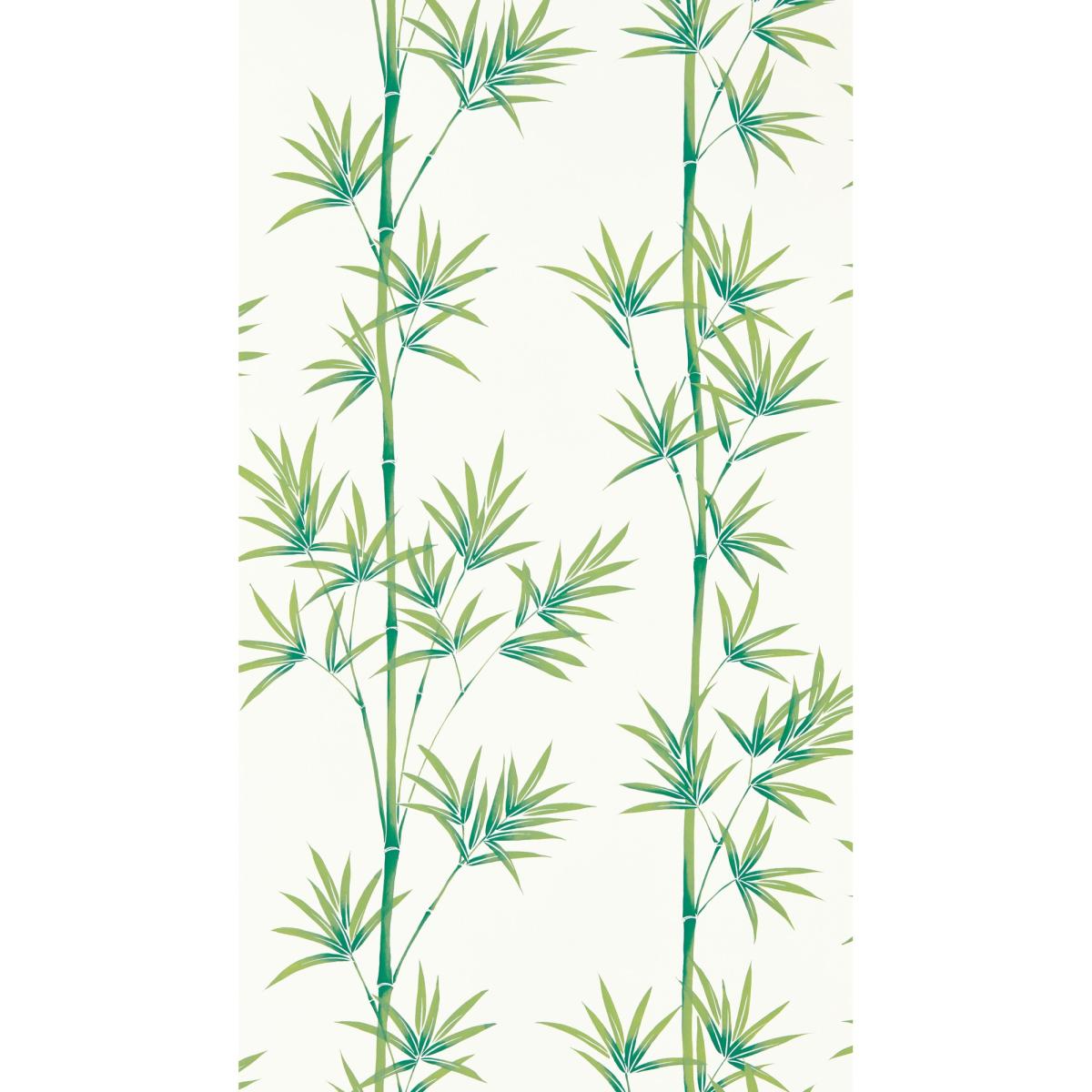 Isabella Wallpaper 112915 by Harlequin in Porcelain Bamboo Roll – image 5