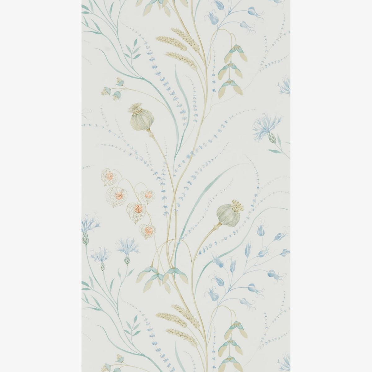 Summer Harvest Wallpaper 216496 by Sanderson in Cornflower Wheat Roll