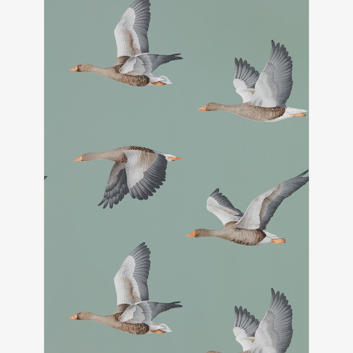 Elysian Bird Wallpaper 216610 by Sanderson in Blue Clay Grey Roll