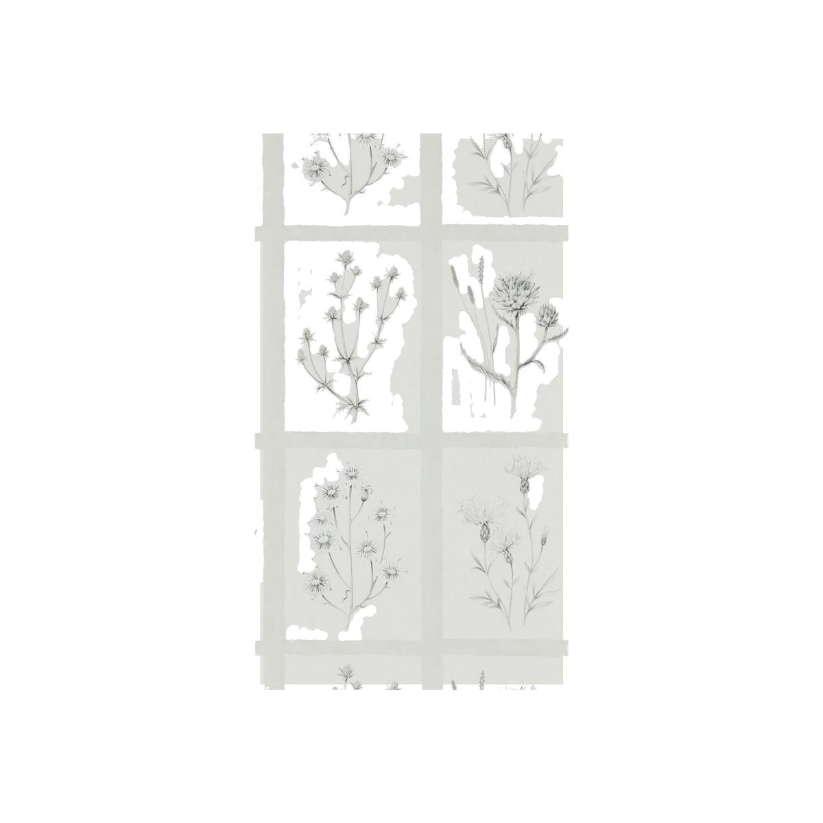 Little Thistles Wallpaper 216512 by Sanderson in Pewter Grey Roll