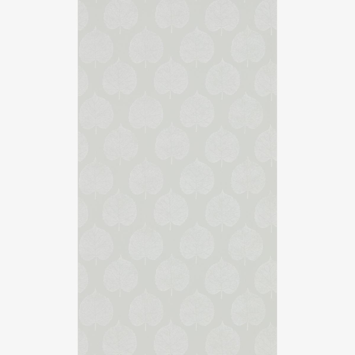 Lyme Leaf Wallpaper 216384 by Sanderson in Dove Grey Roll