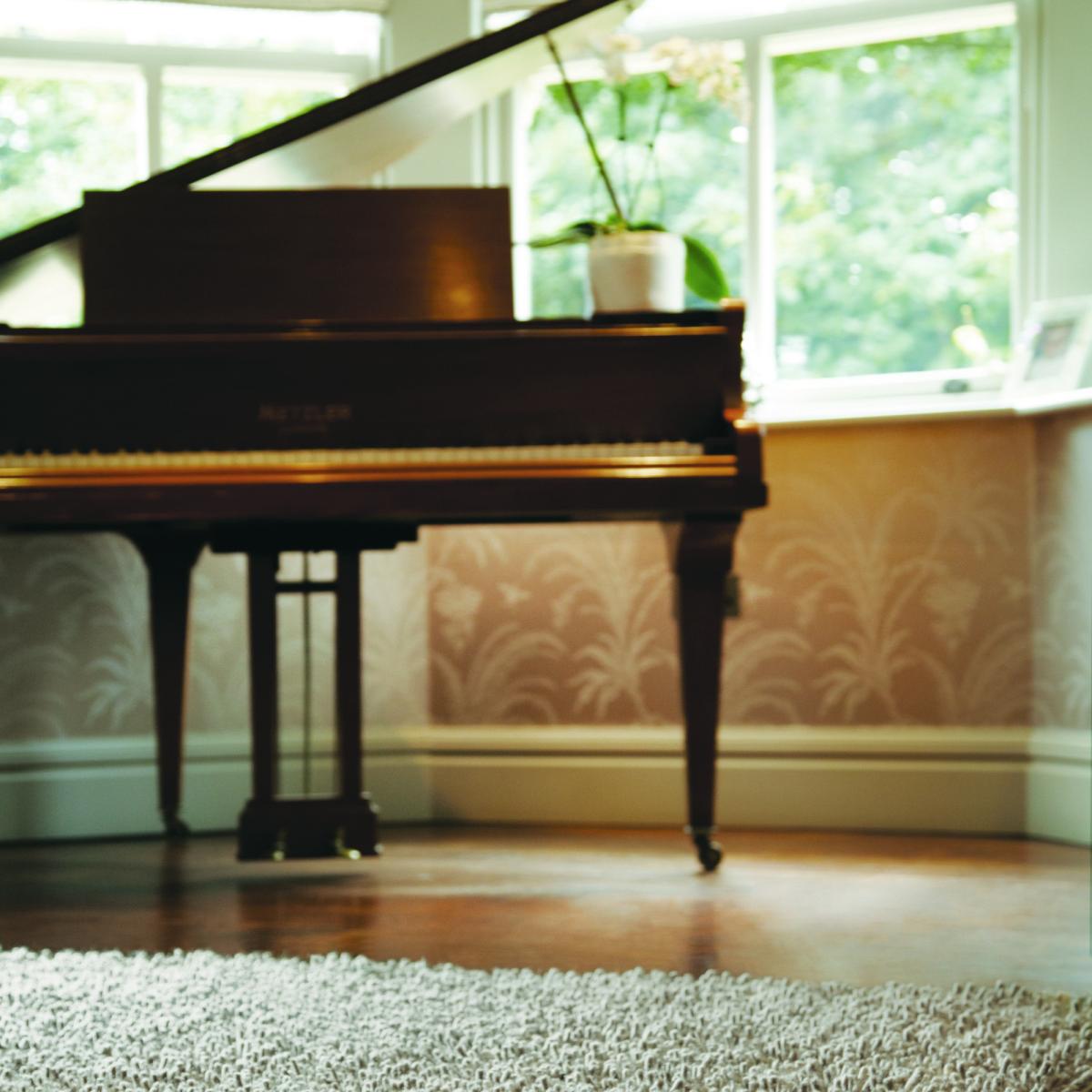 Imperial Shaggy Wool Rugs in Dove Grey 200x300cm – image 2