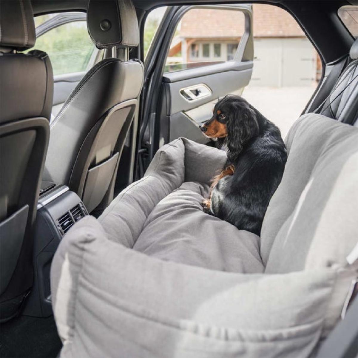 Lords and Labradors Double Easy Travel Bed – image 2