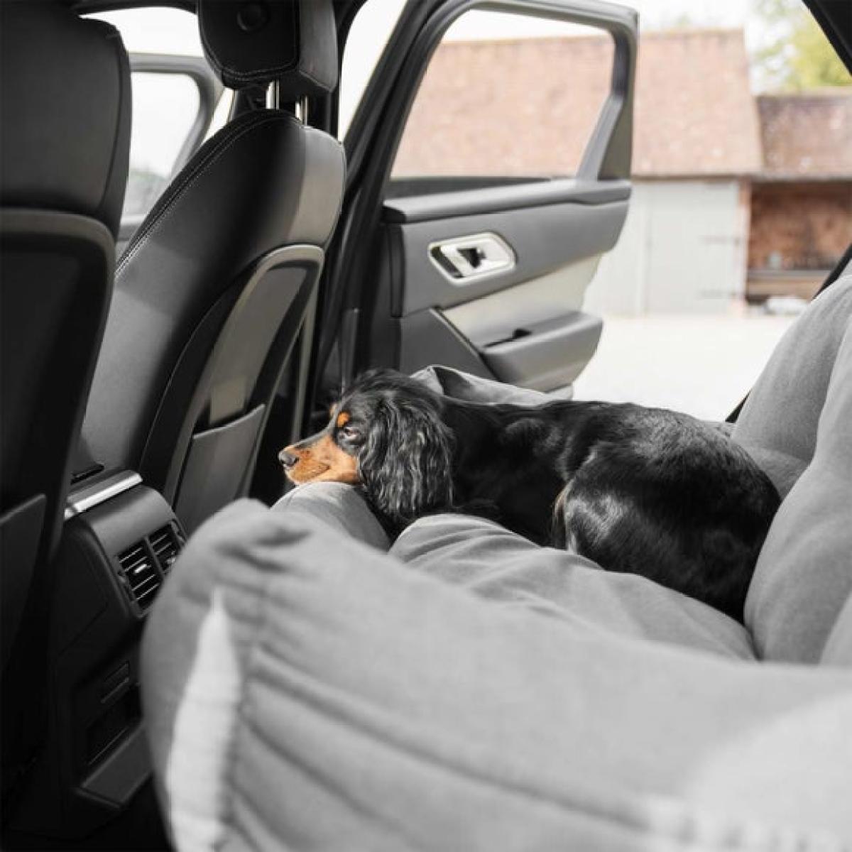 Lords and Labradors Double Easy Travel Bed – image 3