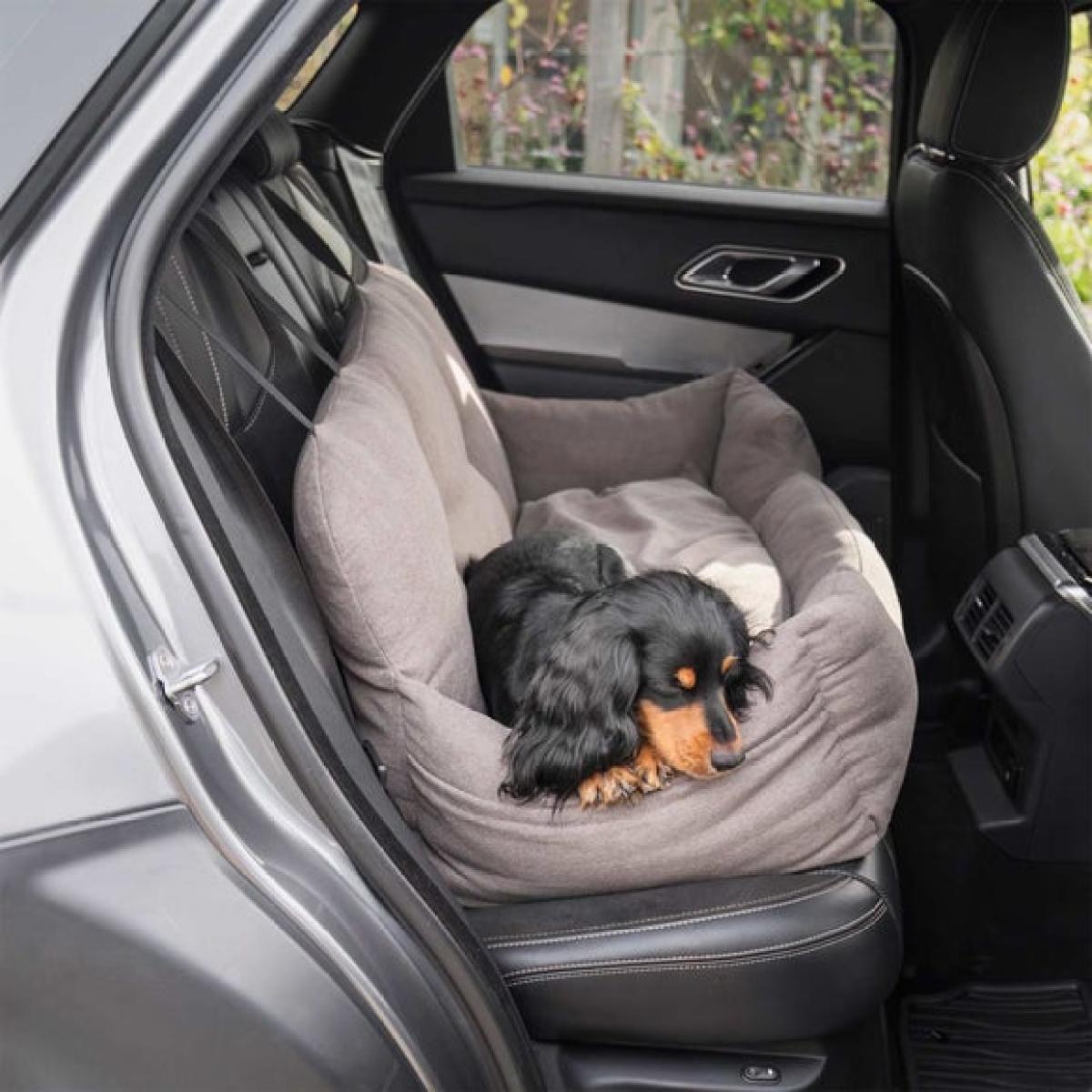 Lords and Labradors Double Easy Travel Bed – image 1