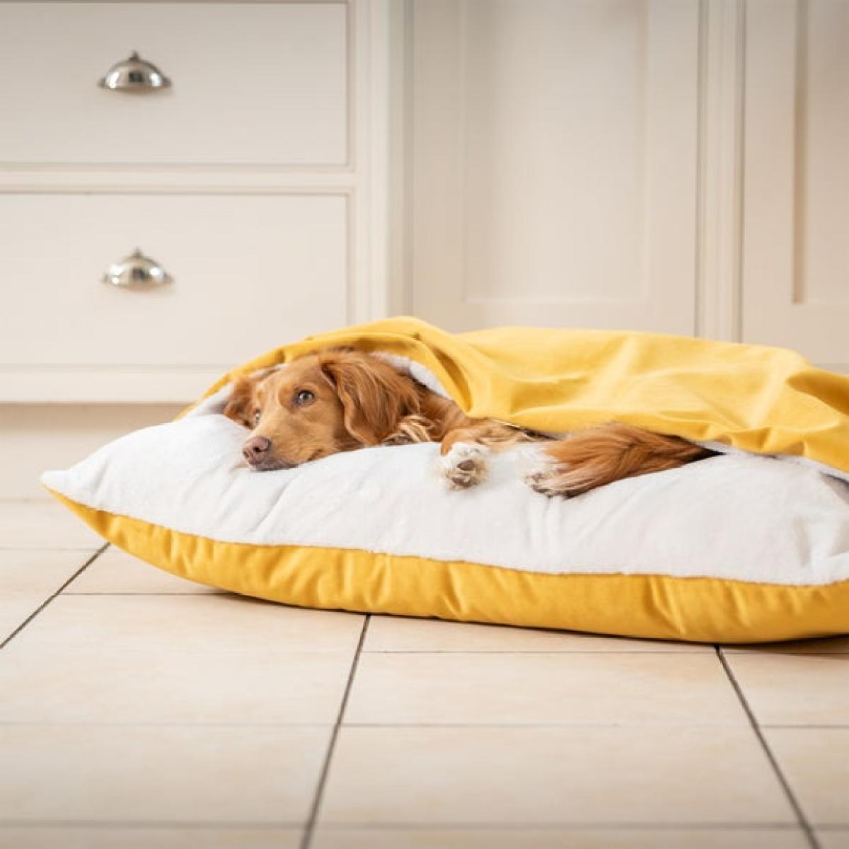 Lords and Labradors Burrow Dog Bed – image 2