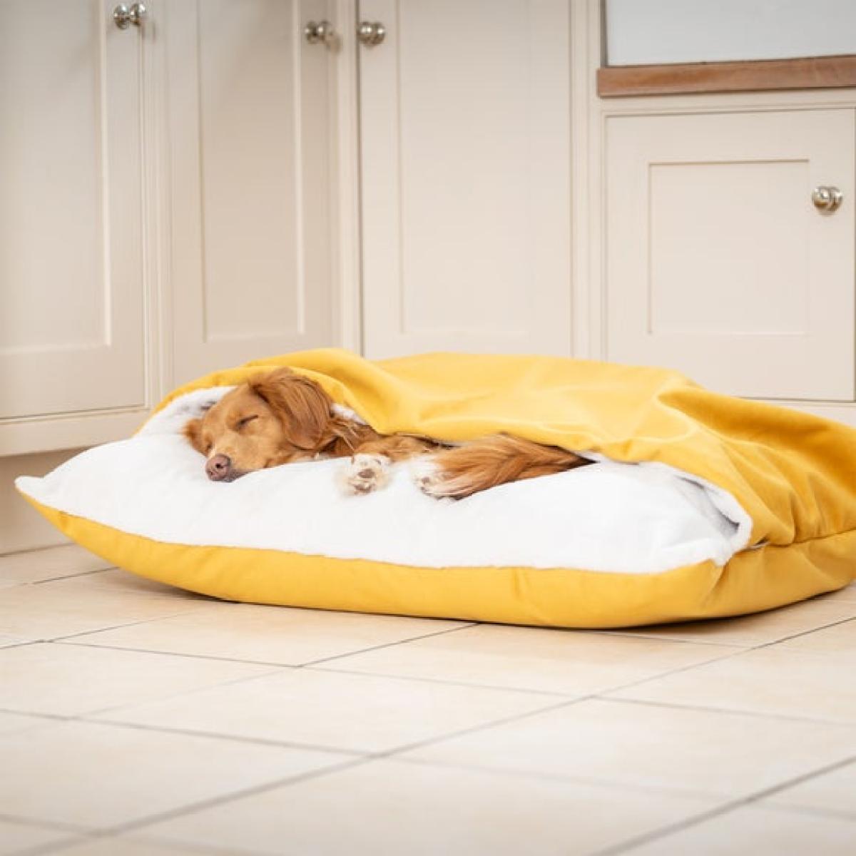 Lords and Labradors Burrow Dog Bed – image 1