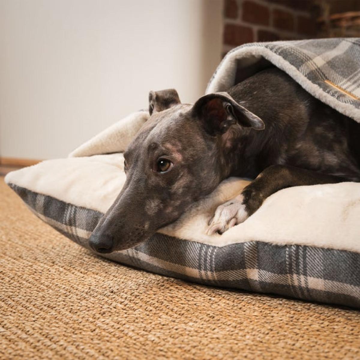 Lords and Labradors Balmoral Tweed Sleepy Burrow Dog Bed – image 2