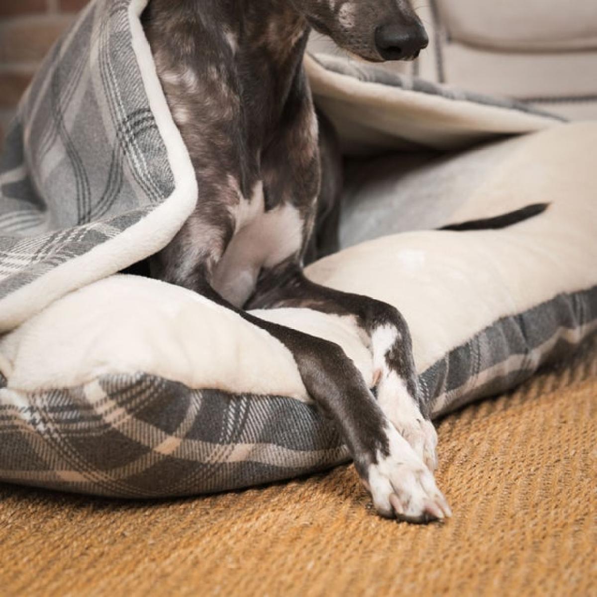 Lords and Labradors Balmoral Tweed Sleepy Burrow Dog Bed – image 3