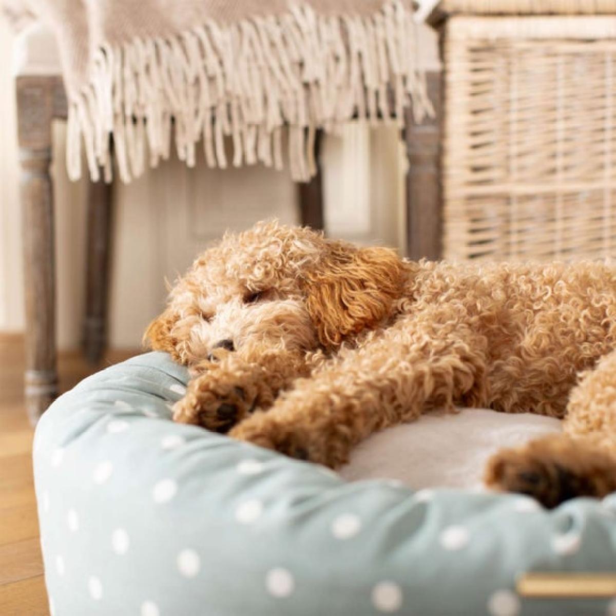 Lords and Labradors Spotty Donut Dog Bed – image 2