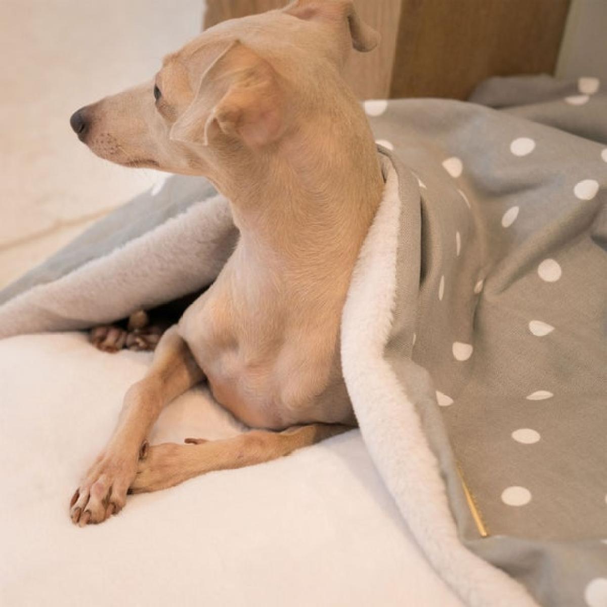 Lords and Labradors Spotty Sleepy Burrow Dog Bed – image 3