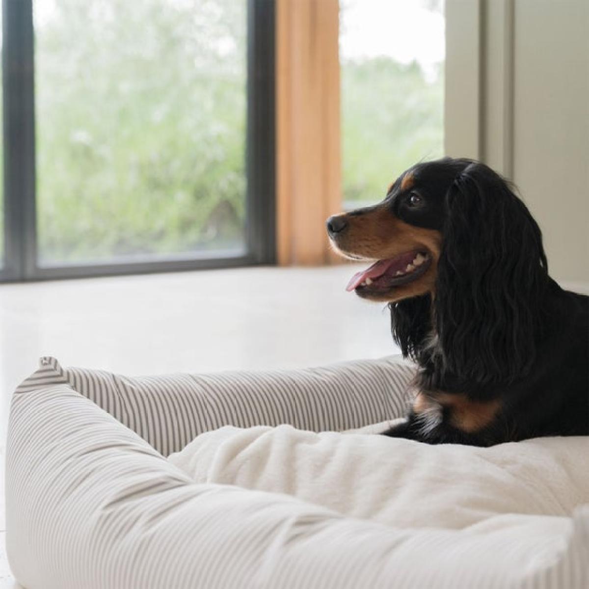 Lords and Labradors Striped Box Dog Bed – image 3