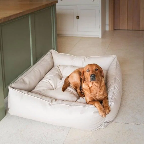 Lords and Labradors Rhino Leather Box Dog Bed – image 1