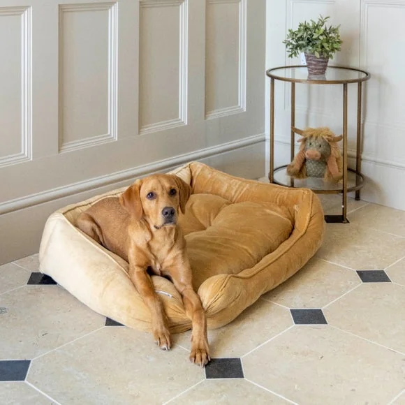 House of Paws Velvet Square Bed – image 1